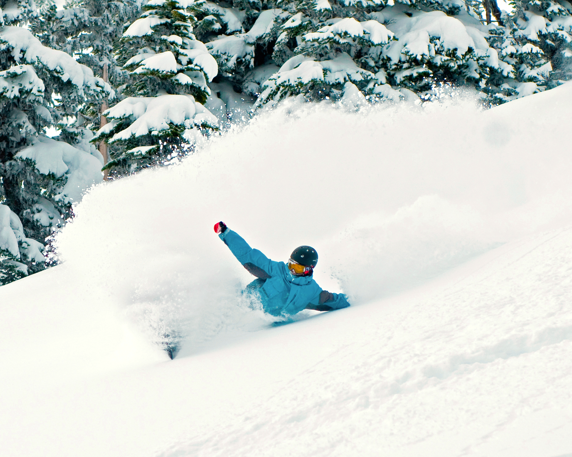 Freeride Snowboard Camp Course Whistler Canada