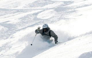 Powder Skier