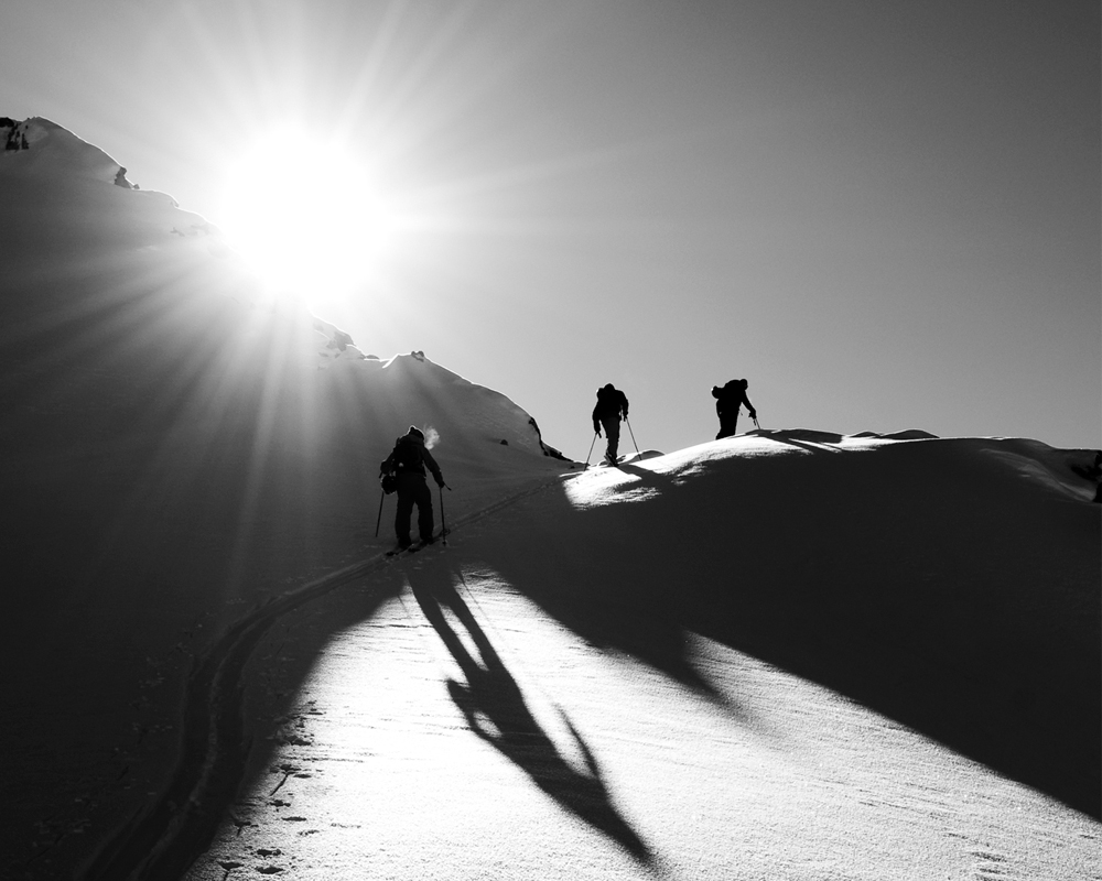 Whistler Backcountry Camp Portfolio Image